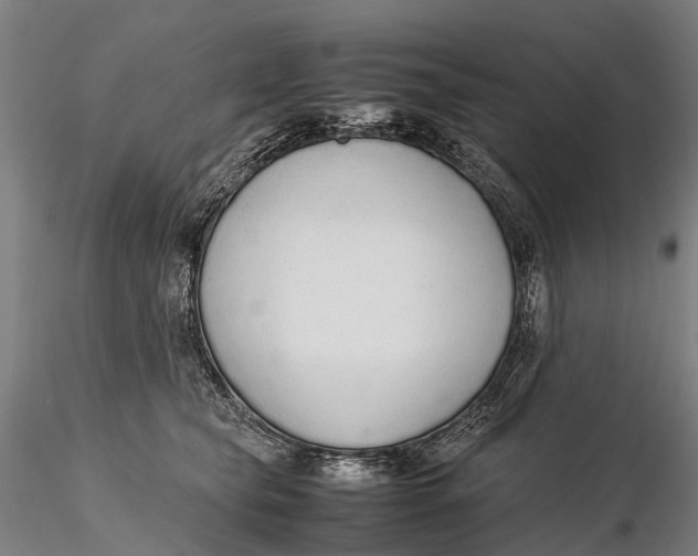 X0000115600565200912011529