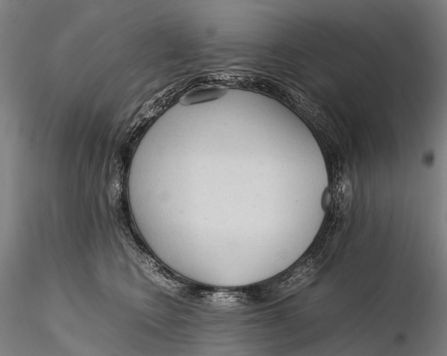 X0000115600566200912011529