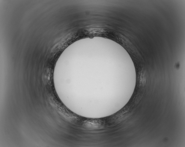 X0000115600567200912011529