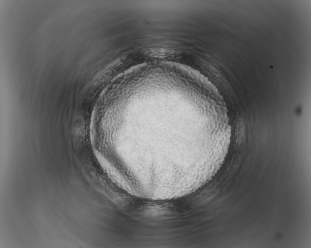 X0000115600569200912011529