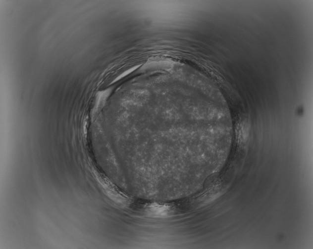 X0000115600570200912011529