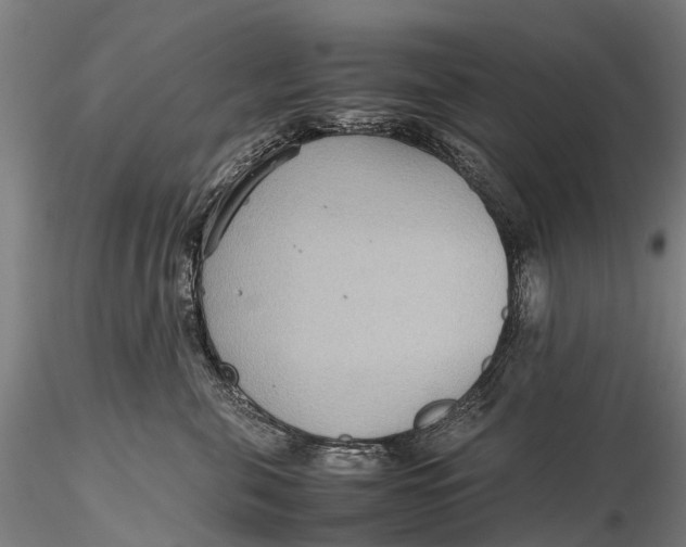 X0000115600571200912011529