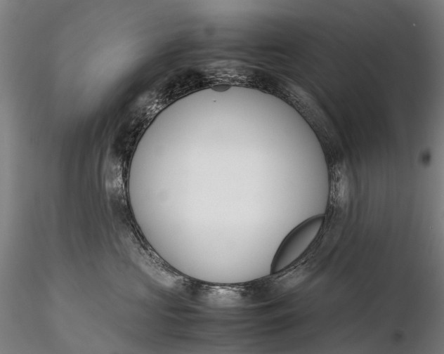 X0000115600573200912011529