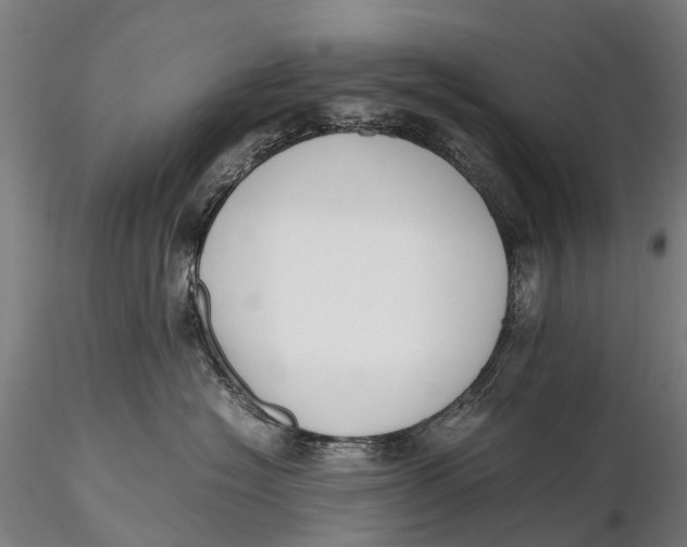 X0000115600574200912011529