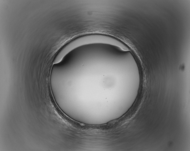 X0000115600577200912011528