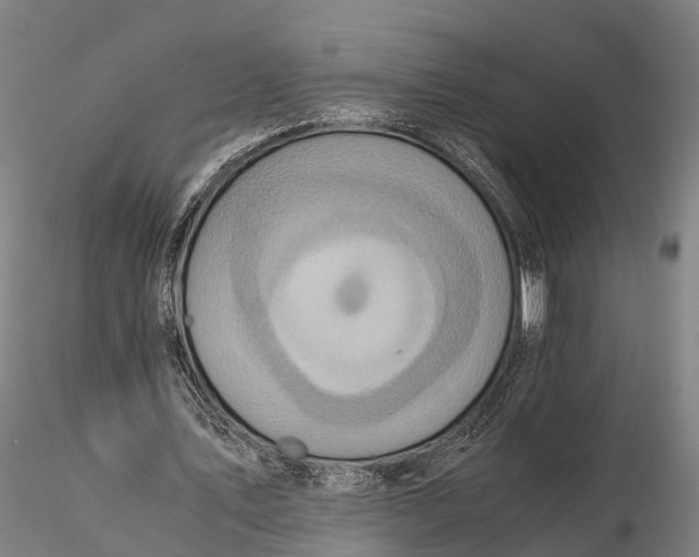 X0000115600579200912011528