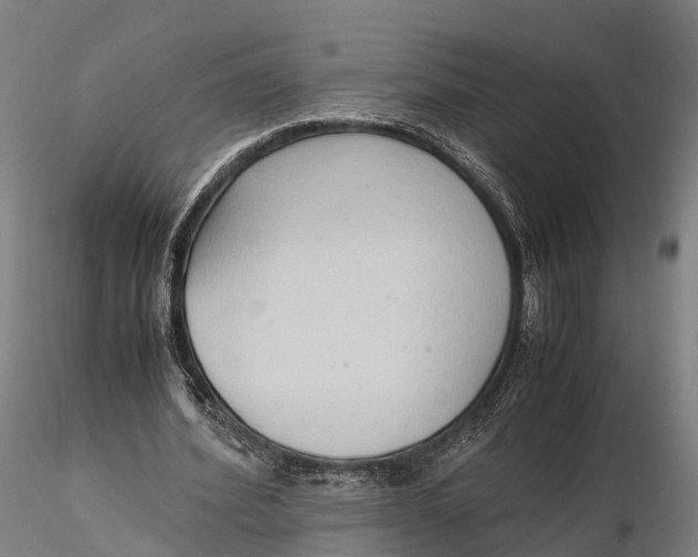 X0000115600580200912011528