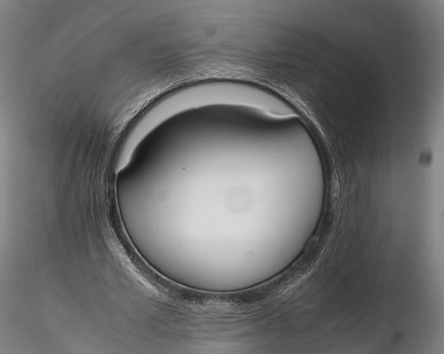 X0000115600581200912011528