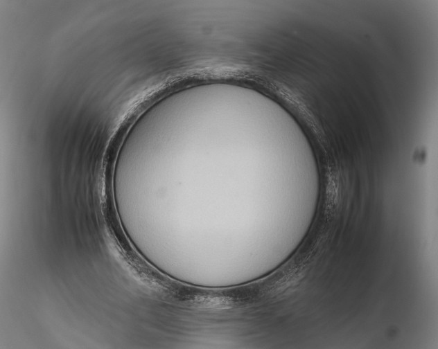 X0000115600582200912011528