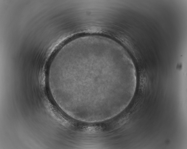 X0000115600584200912011528