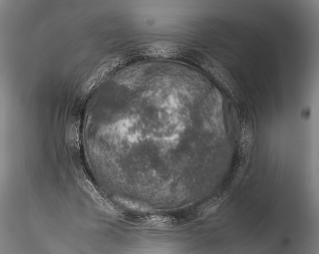 X0000115600585200912011528