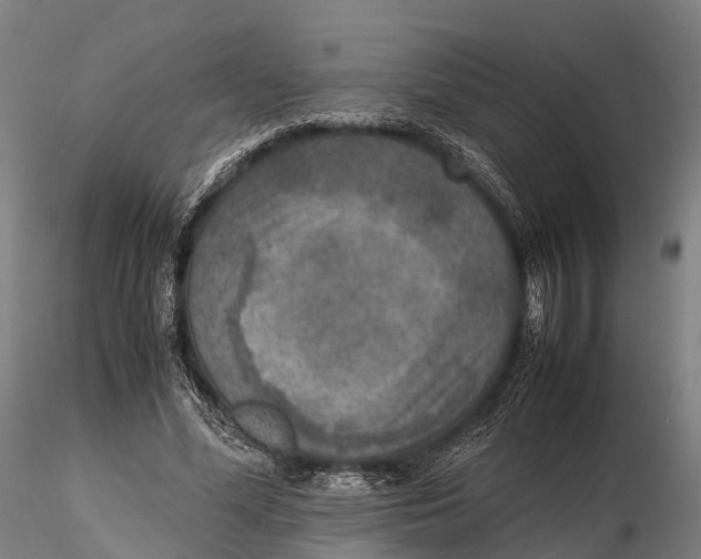 X0000115600588200912011528