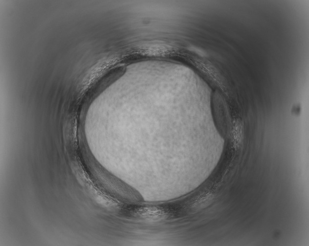 X0000115600589200912011528