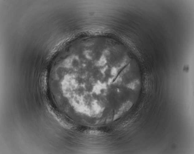 X0000115600590200912011528