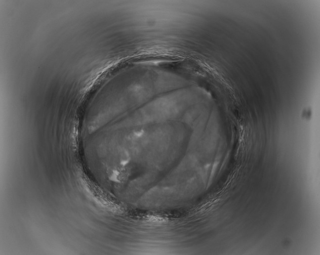 X0000115600592200912011528