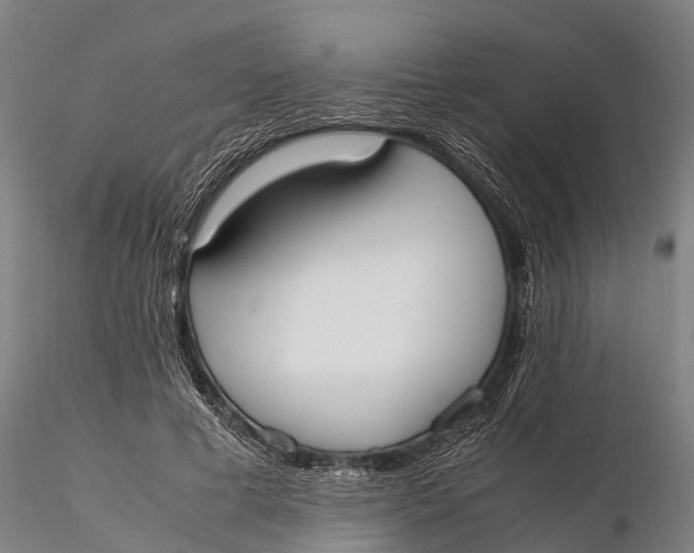 X0000115600593200912011528