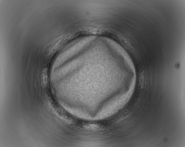 X0000115600594200912011528