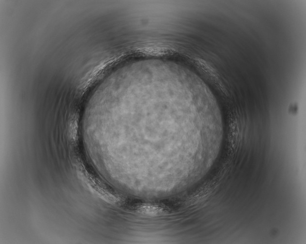 X0000115600596200912011528