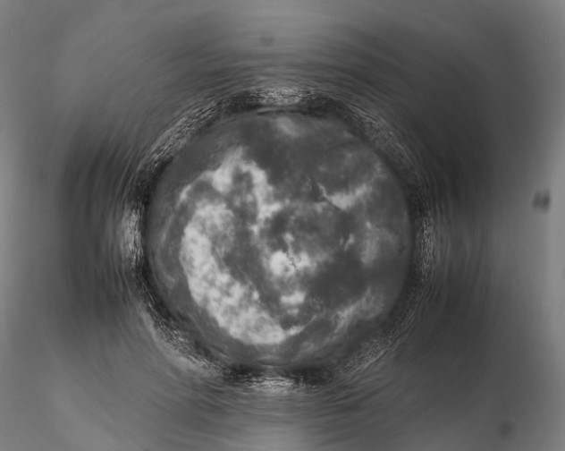 X0000115600598200912011528