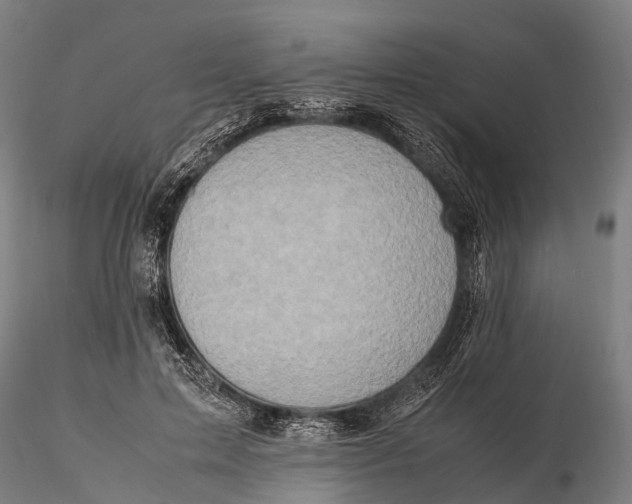 X0000115600599200912011528