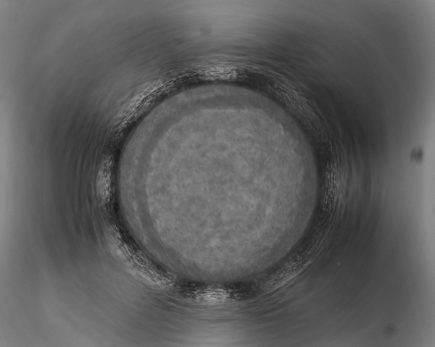 X0000115600600200912011528