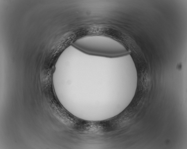 X0000115600601200912011528