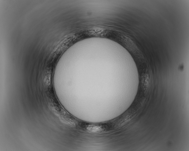 X0000115600602200912011528