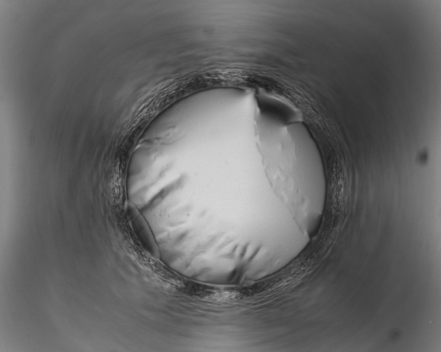 X0000115600609200912011528