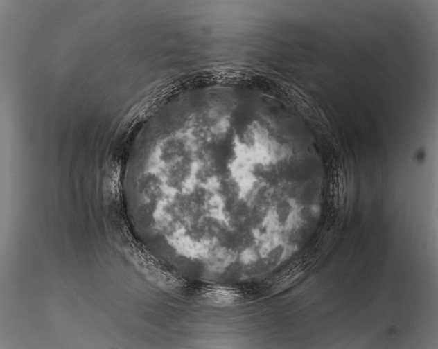 X0000115600610200912011528