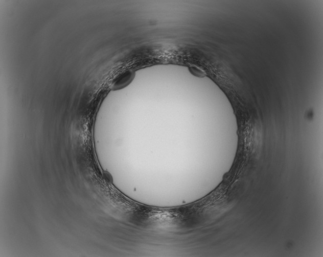 X0000115600611200912011528