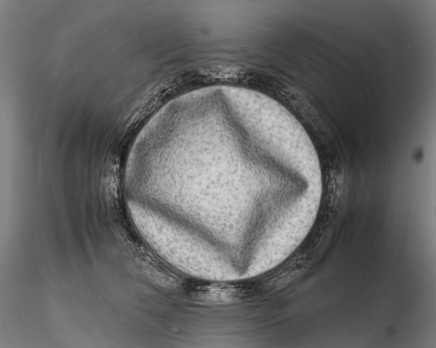 X0000115600612200912011528