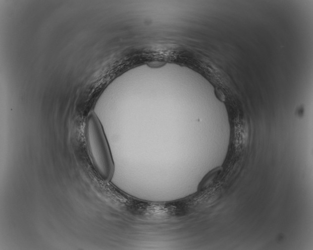 X0000115600613200912011528