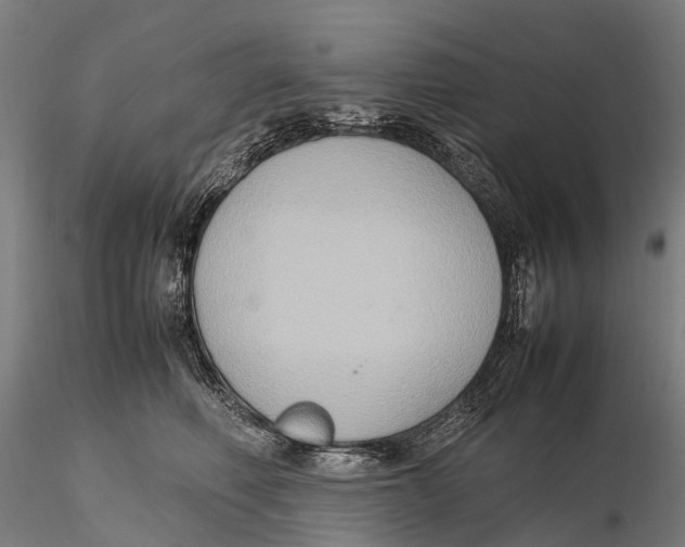 X0000115600614200912011528