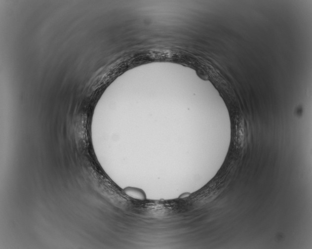 X0000115600616200912011528