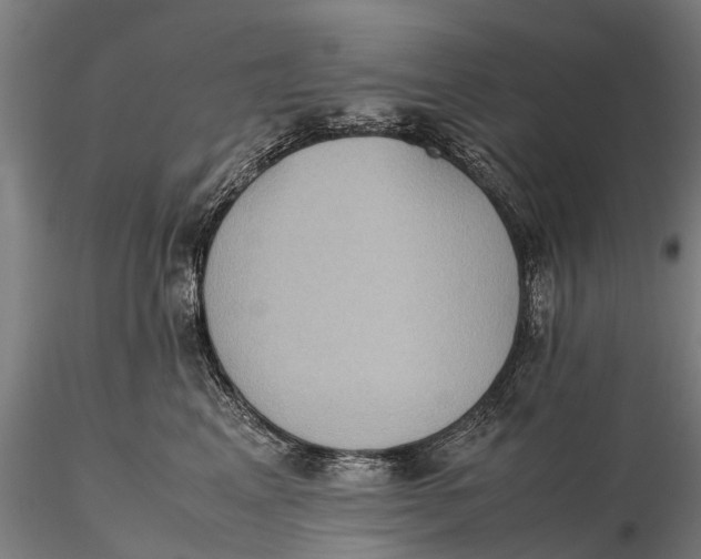 X0000115600617200912011528