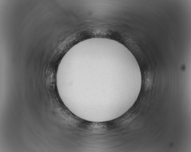 X0000115600619200912011528