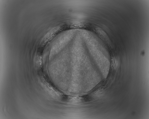 X0000115600621200912011528