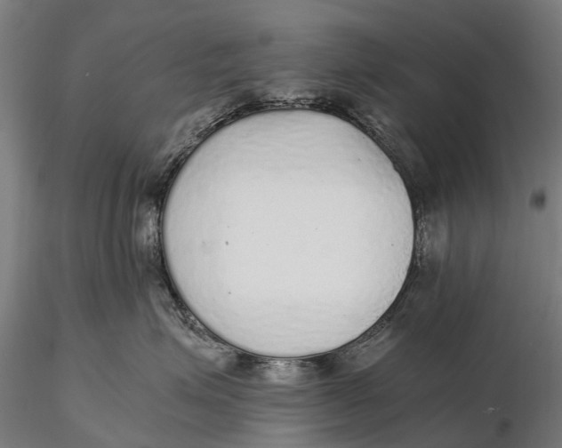 X0000115600623200912011528