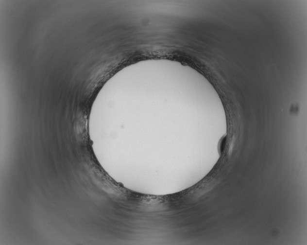 X0000115600624200912011528