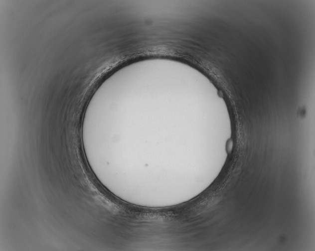 X0000115600625200912011527