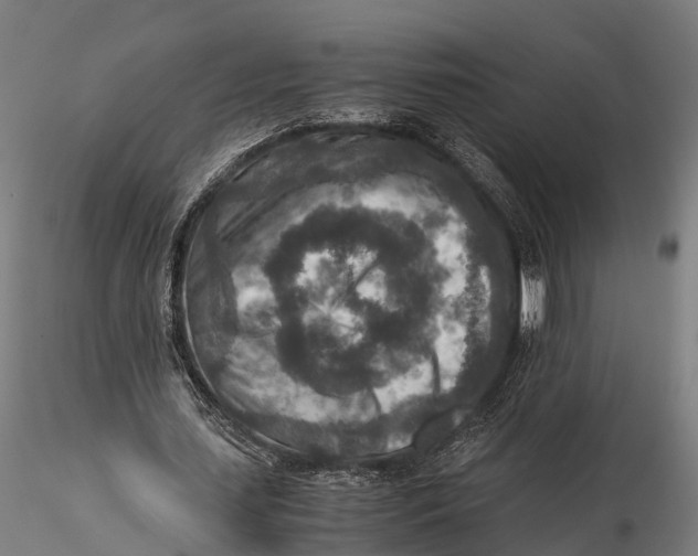 X0000115600627200912011527