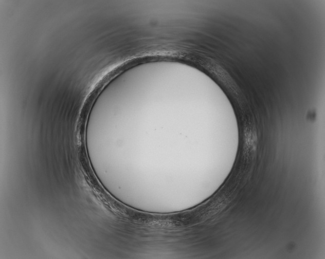 X0000115600628200912011527