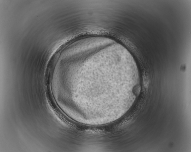 X0000115600630200912011527