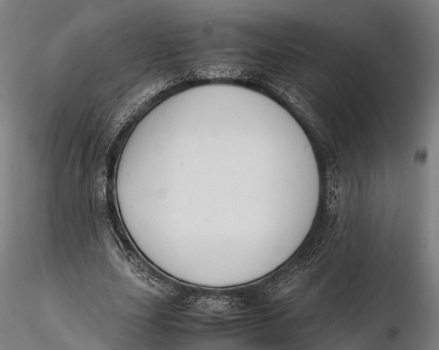 X0000115600631200912011527