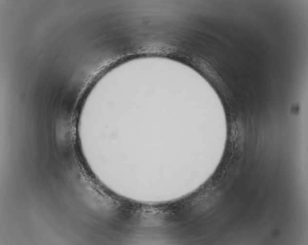 X0000115600632200912011527