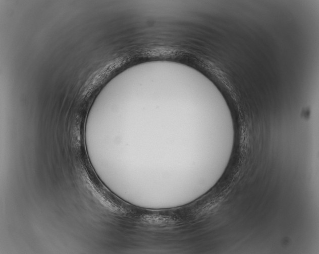 X0000115600633200912011527