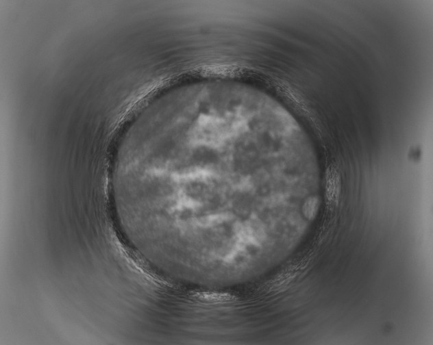 X0000115600637200912011527