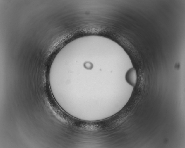 X0000115600638200912011527