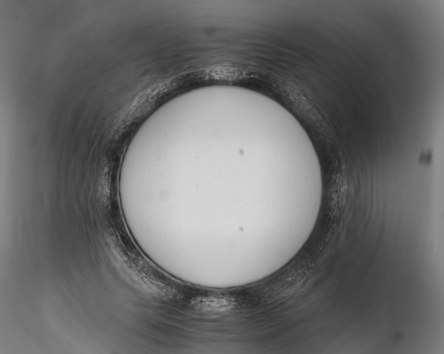 X0000115600639200912011527