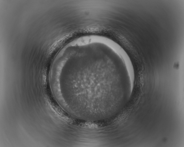 X0000115600640200912011527